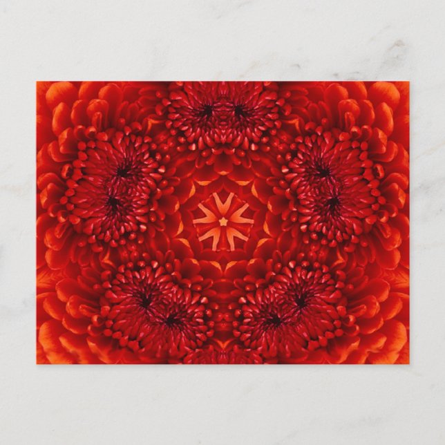 RED DAHLIA FLOWER POSTCARD (Front)