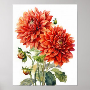 Red Dahlia Flowers Art Print Poster