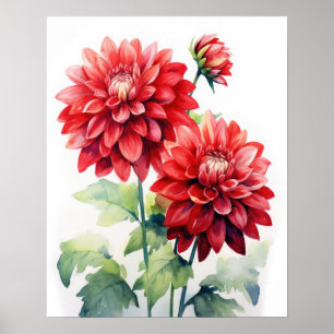 Red Dahlia Flowers Art Print Poster