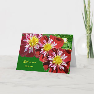 Red Dahlia Get Well Soon Card