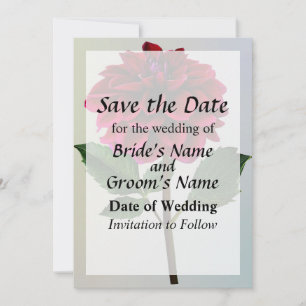 Red Dahlia in Sunshine Save the Date