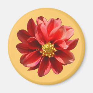 Red Dahlia Magnet