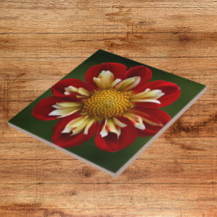 Red Dahlia on Green Floral Tile