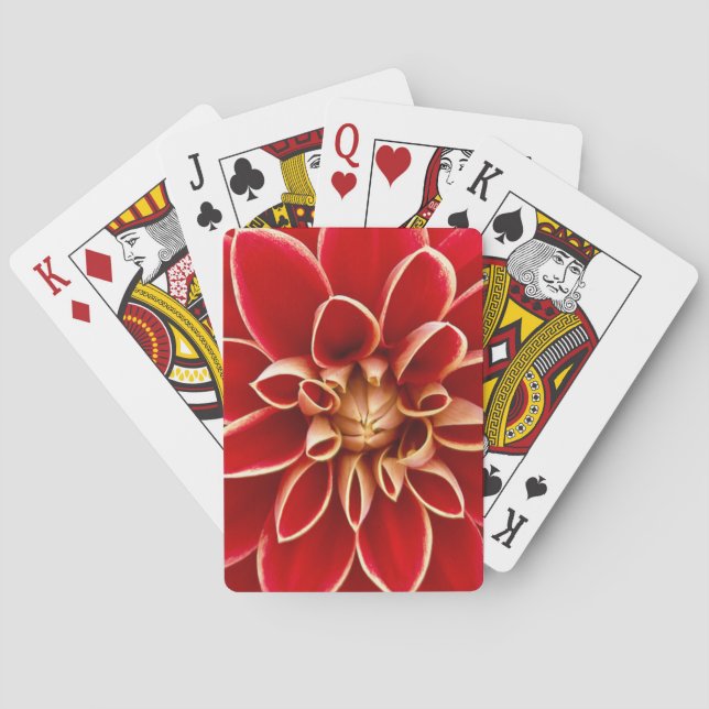 Red Dahlia Playing Cards (Back)
