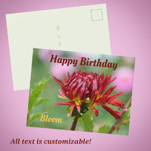 Red Dahlia ready to Bloom Photographic Birthday Postcard