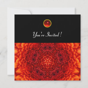 RED DAHLIA, RUBY,   bright  black Invitation