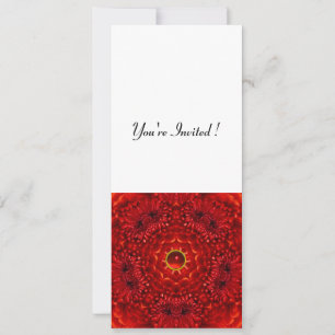 RED DAHLIA, RUBY,   bright  black white Invitation
