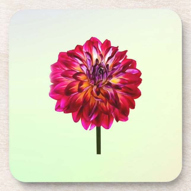 Red Dahlia Tinted With Yellow Coaster (Front)