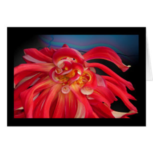 Red Dahlia: www.GraceArtGroup.com