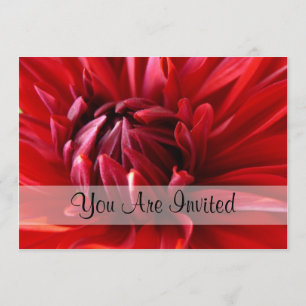 Red Dahlia You Are Invited Invitation
