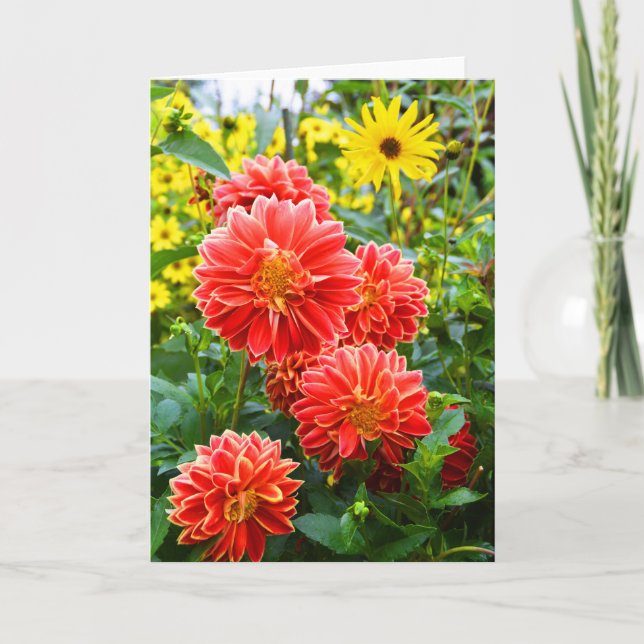 Red Dahlias Card (Front)