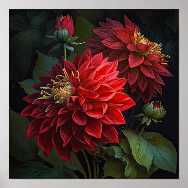 Red Dahlias Flower Art Print Poster (Front)