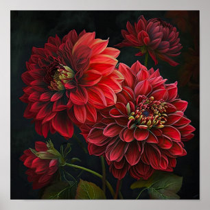 Red Dahlias Flower Art Print Poster