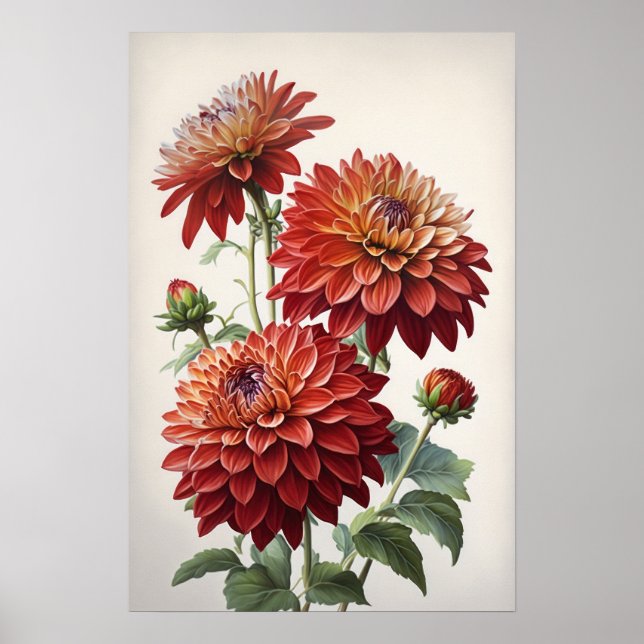 Red Dahlias Flowers Art Print Poster (Front)
