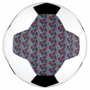 Red Daisies Football