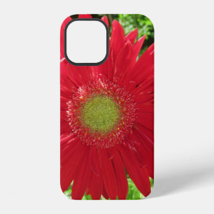 Red Daisy Floral Photography iPhone 12 Case