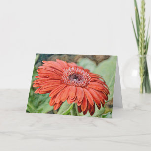 Red Daisy Flower Art Note Card