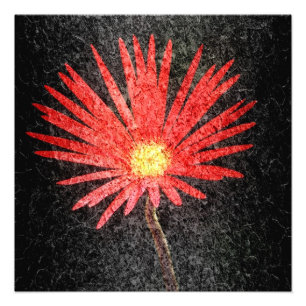 Red Daisy Flower Painting Photo Print