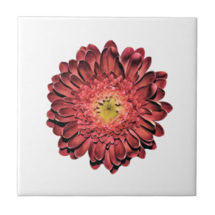 Red Daisy Flower Tile