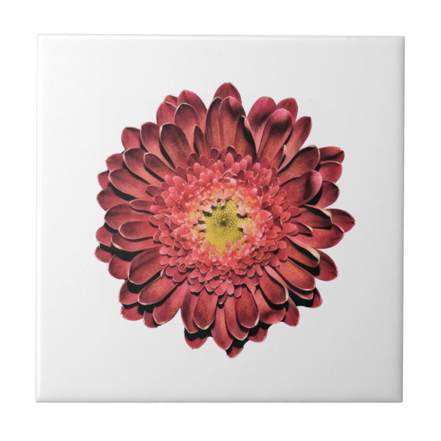 Red Daisy Flower Tile (Front)