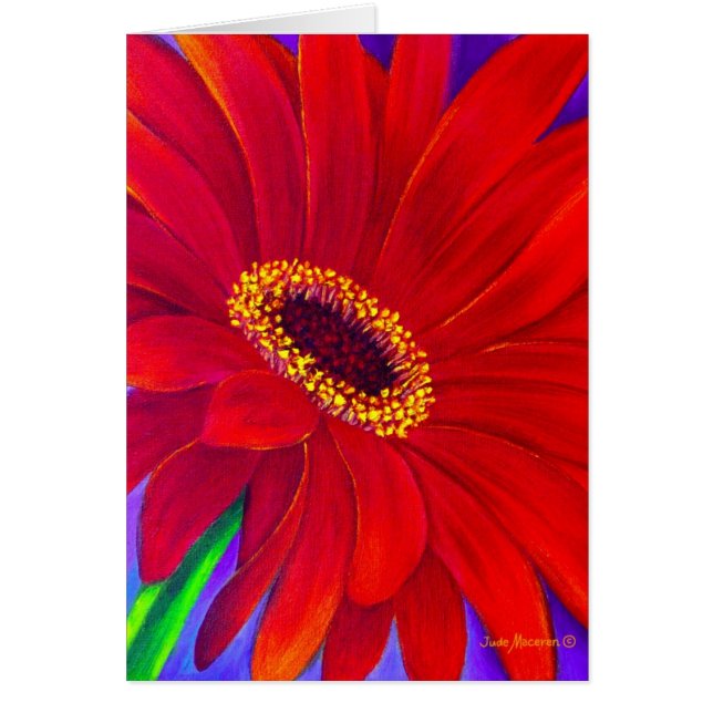 Red Daisy Gerber Flower Painting Art - Multi (Front)