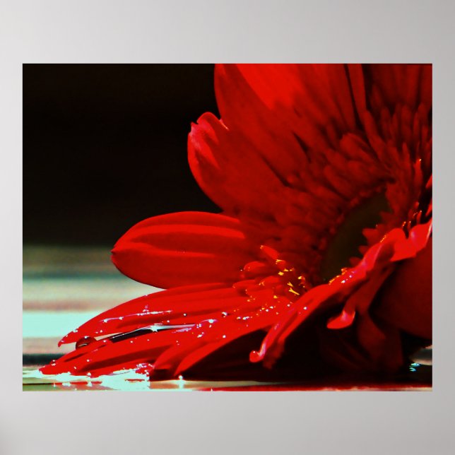 Red Daisy Gerbera Flower Poster (Front)