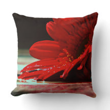 Red Daisy Gerbera Flowers