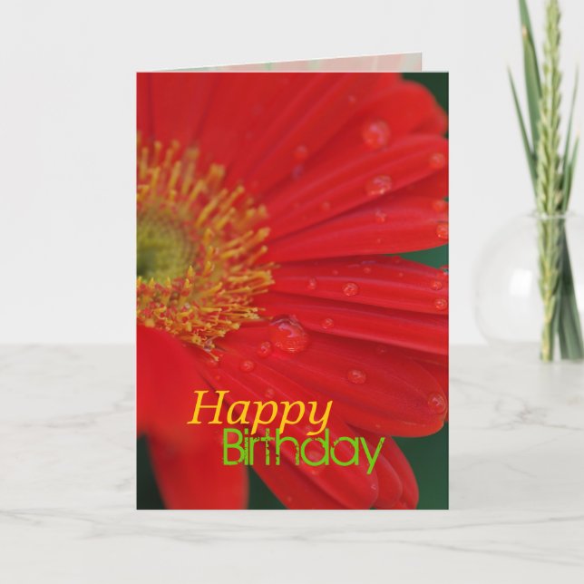 Red Daisy Happy Birthday Greeting Card (Front)