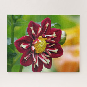 Red Daisy Jigsaw Puzzle