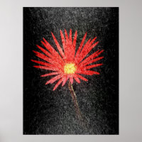 Red Daisy on black background | Abstract Art