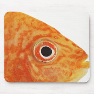 Red Deacon fish Mouse Mat