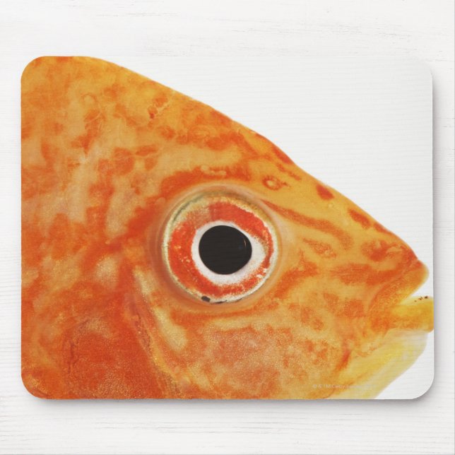 Red Deacon fish Mouse Mat (Front)