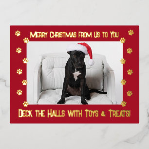 Red Deck the Halls With Toys & Treats 2 Photo Foil Holiday Postcard