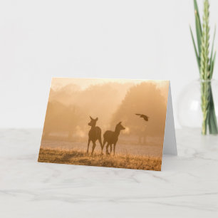 Red Deer and Jackdaw Greeting Card