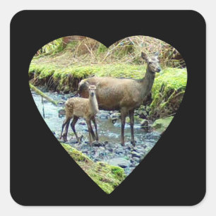 Red Deer Doe And Baby Woodland Family Wildlife Square Sticker