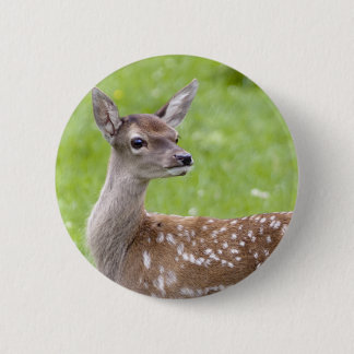Red Deer Fawn Badge