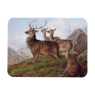 Red Deer in a Highland Landscape, 1872 (oil on can Magnet
