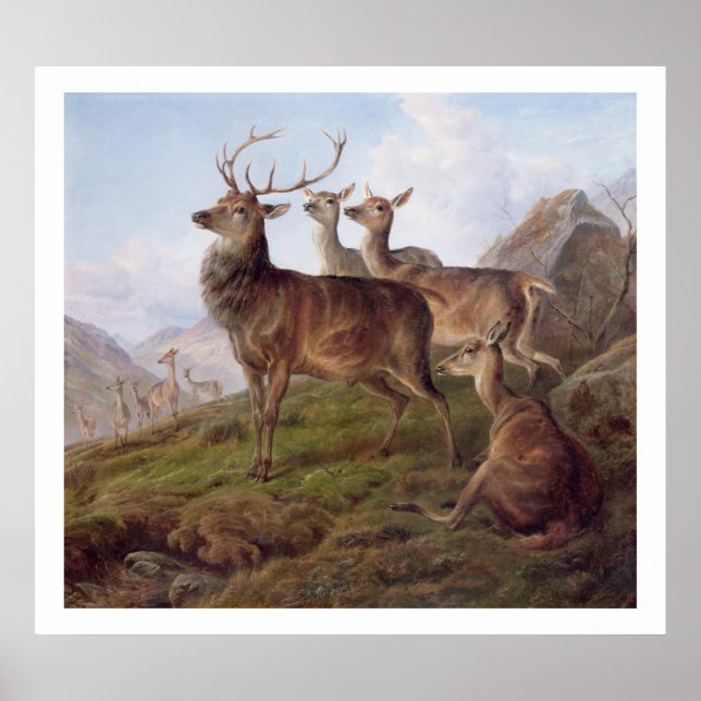 Red Deer in a Highland Landscape, 1872 (oil on can Poster (Front)