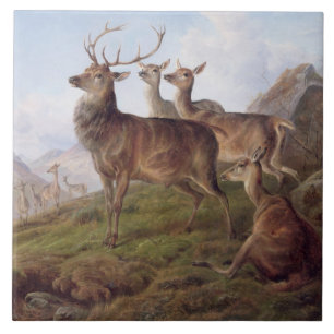 Red Deer in a Highland Landscape, 1872 (oil on can Tile