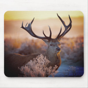 Red Deer in Early Morning, Mouse Pad