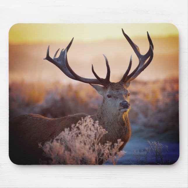 Red Deer in Early Morning, Mouse Pad (Front)
