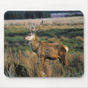Red Deer Mousepad