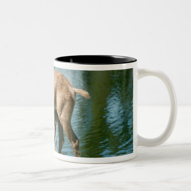 Red deer nursing offspring Two-Tone coffee mug (Right)