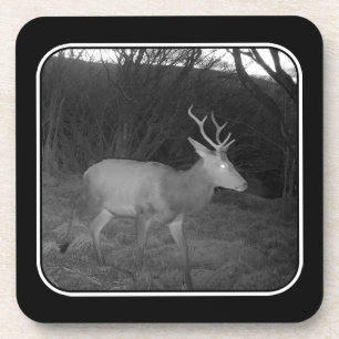 Red Deer Stag at Dusk Hard Plastic 6 Coaster Set
