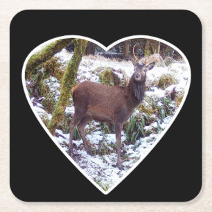 Red Deer Stag in the Snow Paper Coaster