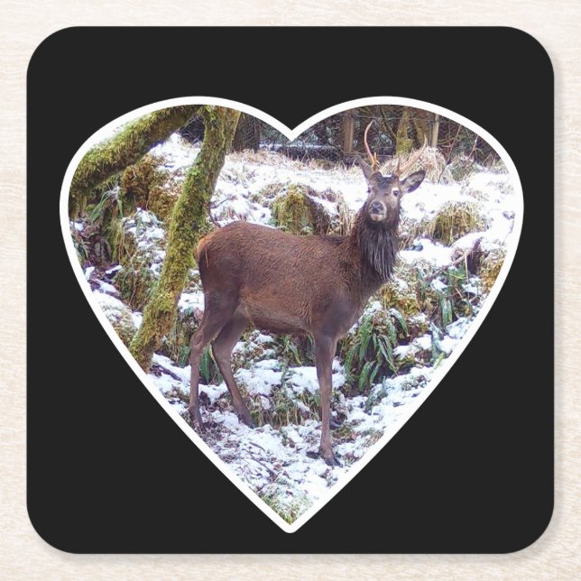 Red Deer Stag in the Snow Paper Coaster (Front)
