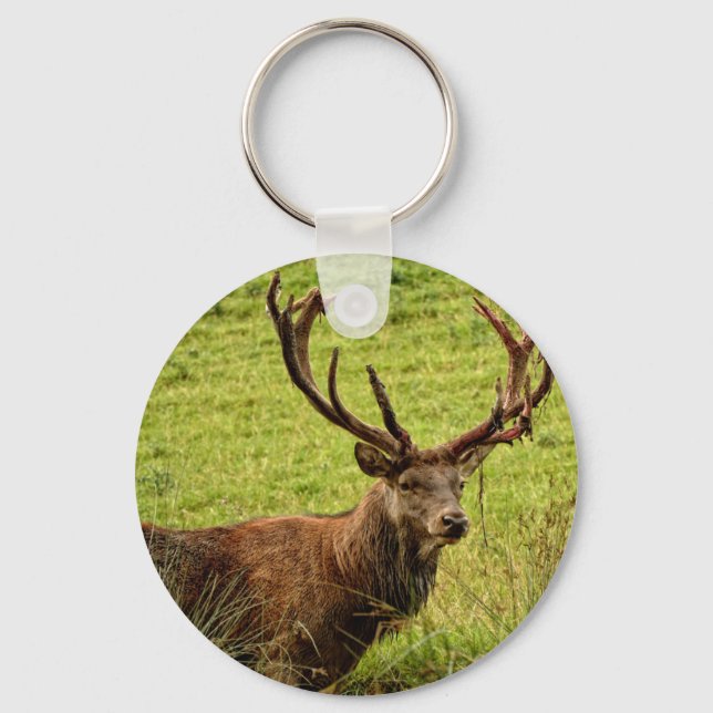 Red Deer Stag Key Ring (Front)