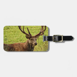 Red Deer Stag Luggage Tag