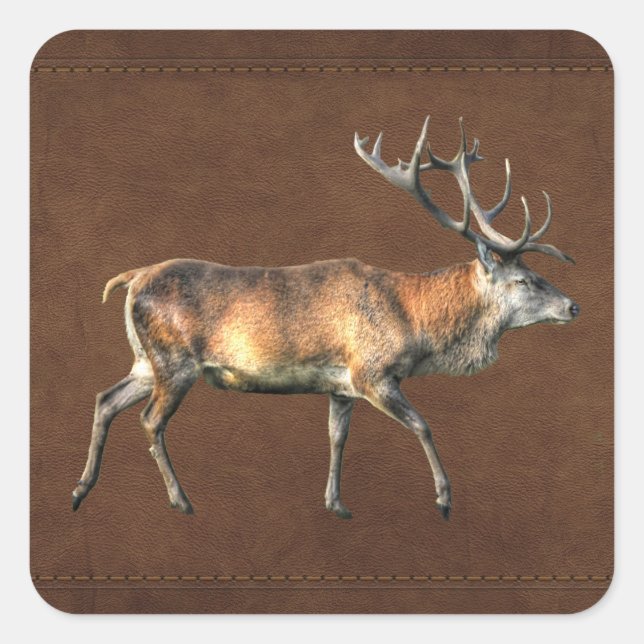 Red Deer Stag Wildlife Animal Design Square Sticker (Front)