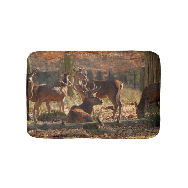 Red Deers In The Autumnal Wood Bath Mat (Front)
